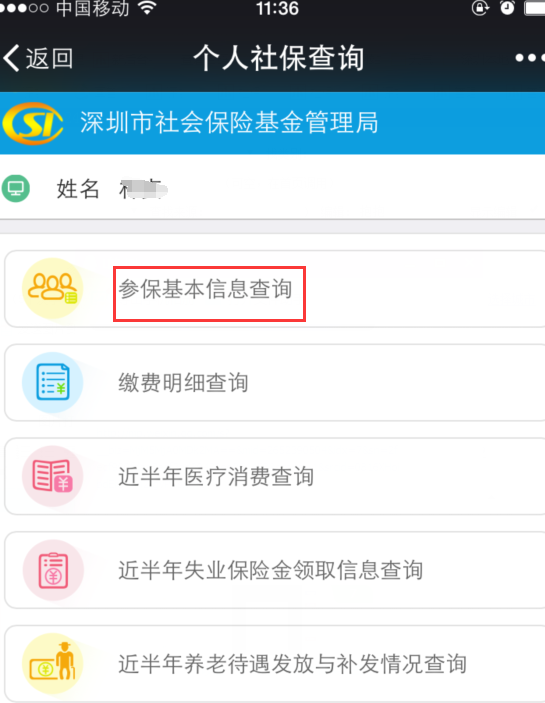 深圳社保个人余额查询指南