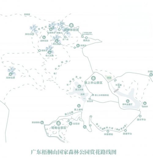 2024深圳梧桐山铃儿花会观赏攻略：时间、地点、路线及交通指南