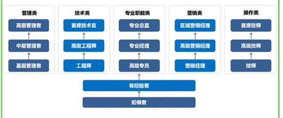 南玻集团2024春季校园招聘全面启动