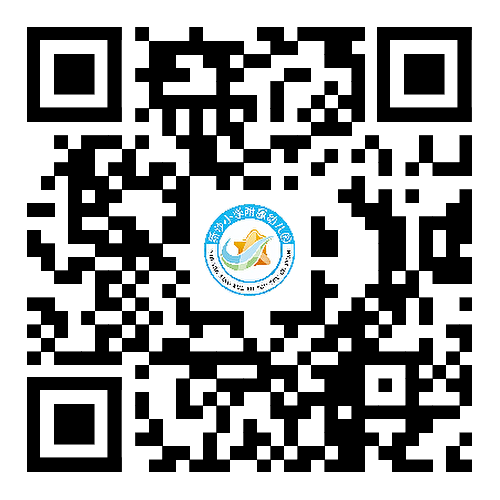 深圳市福田区新沙小学附属幼儿园招聘公告